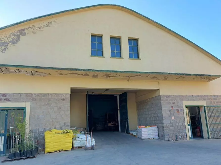 Immagine 14 di Capannone industriale in vendita  in Viale dei Platani, N. 29-31 a Sardara