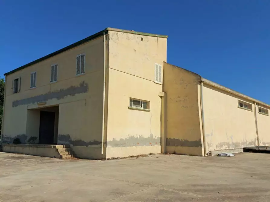 Immagine 3 di Capannone industriale in vendita  in Via Aldo Moro, N. 29-31 a Sanluri