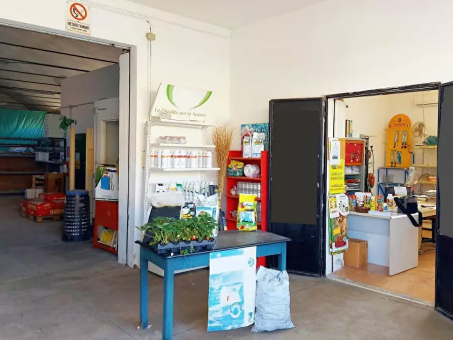 Immagine 6 di Capannone industriale in vendita  in Via Matteotti, N. 15A-B a Serramanna
