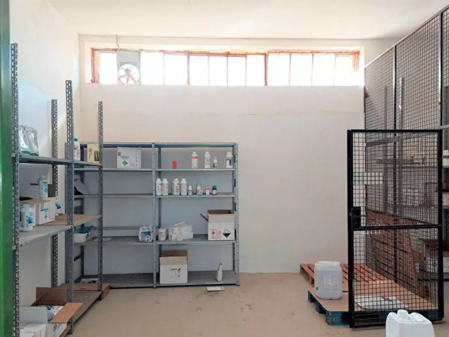 Immagine 9 di Capannone industriale in vendita  in Via Matteotti, N. 15A-B a Serramanna