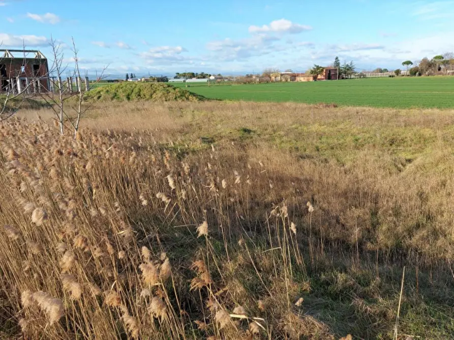 Immagine 3 di Terreno in vendita  in Via Erbosa, N. snc a Forli'
