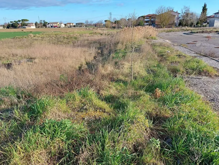 Immagine 10 di Terreno in vendita  in Via Erbosa, N. snc a Forli'
