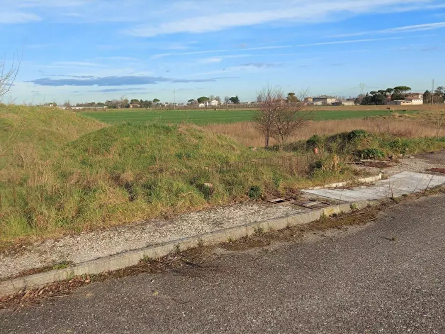 Immagine 2 di Terreno in vendita  in Via Erbosa, N. snc a Forli'