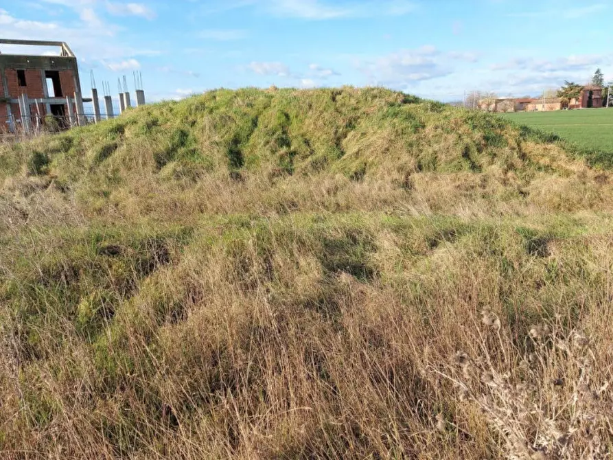 Immagine 3 di Terreno in vendita  in Via Erbosa, N. snc a Forli'
