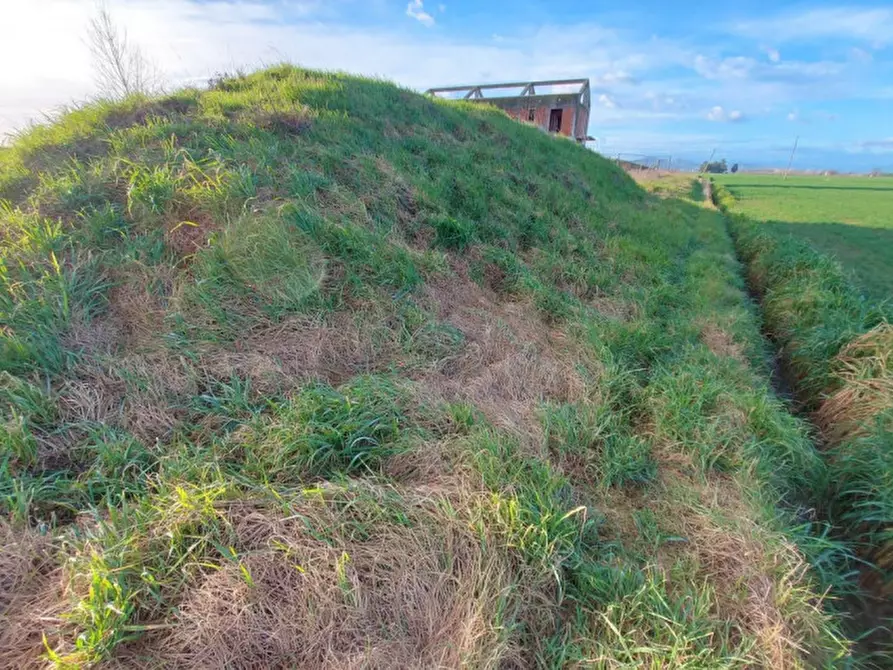 Immagine 5 di Terreno in vendita  in Via Erbosa, N. snc a Forli'