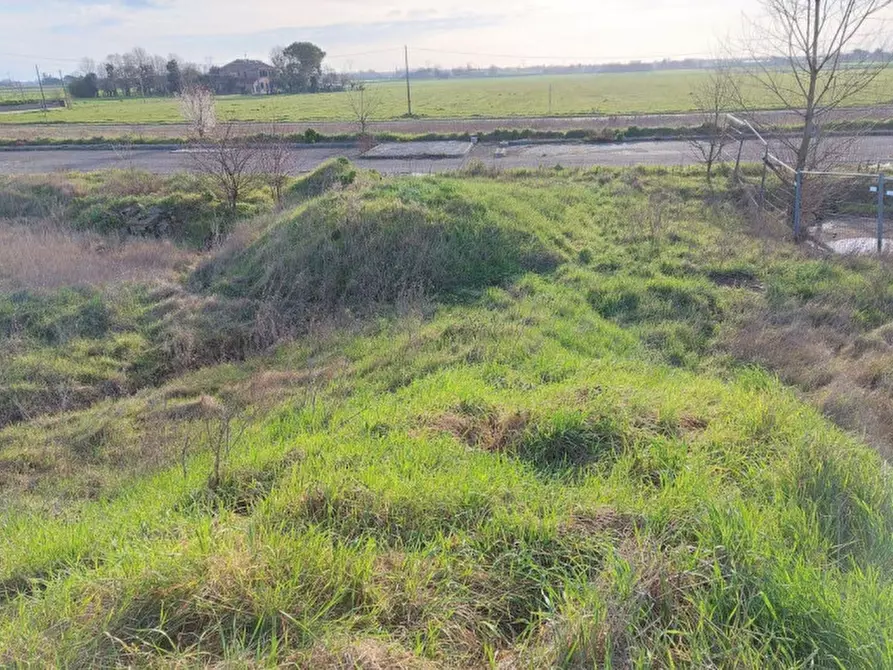 Immagine 6 di Terreno in vendita  in Via Erbosa, N. snc a Forli'