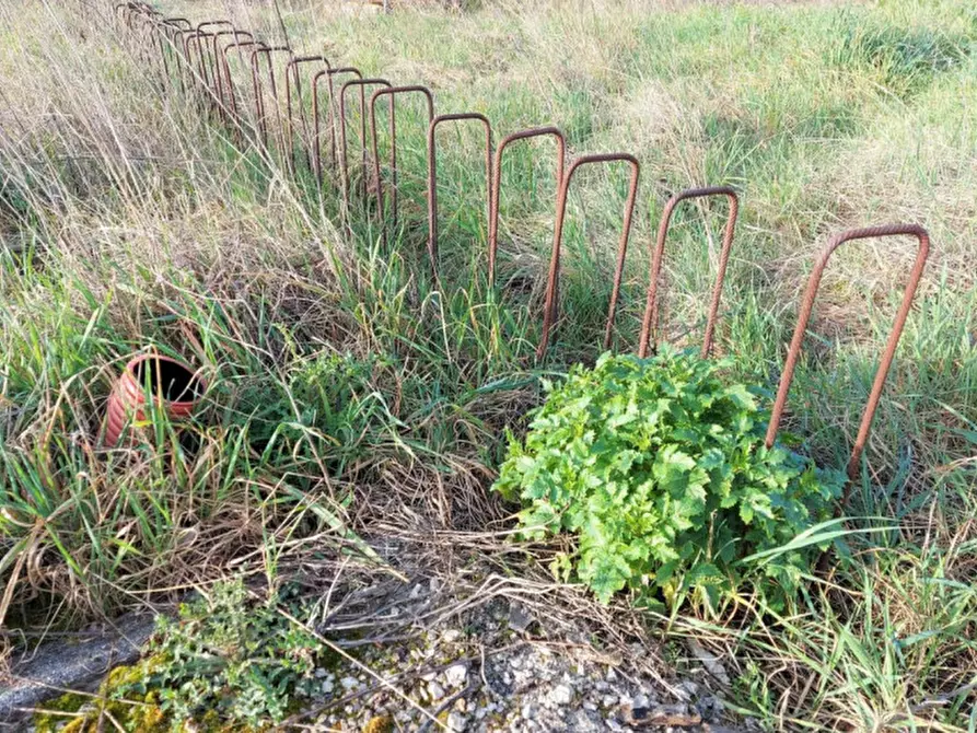 Immagine 8 di Terreno in vendita  in Via Erbosa, N. snc a Forli'