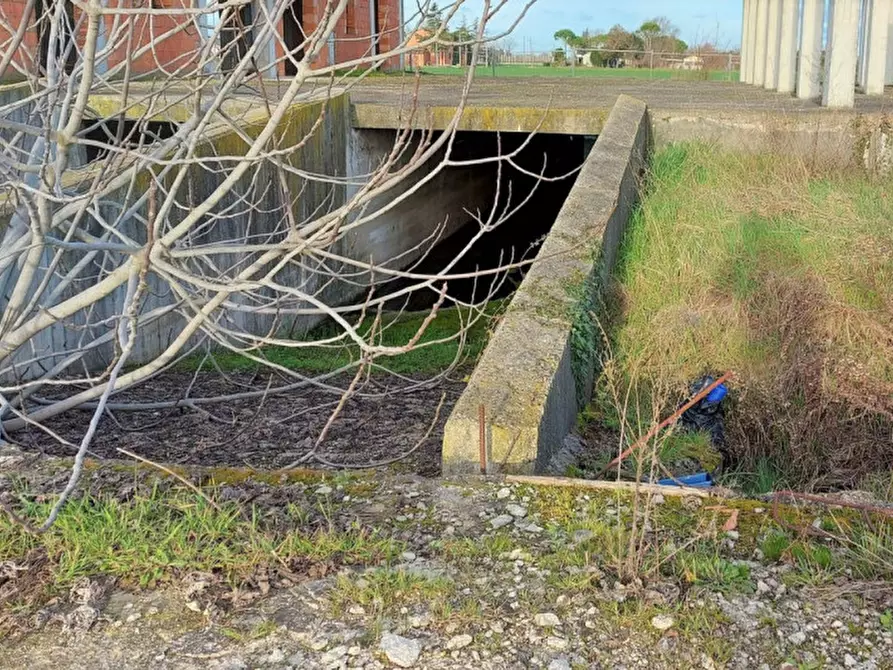 Immagine 5 di Terreno in vendita  in Via Erbosa, N. snc a Forli'