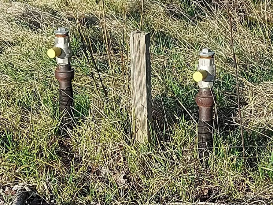 Immagine 9 di Terreno in vendita  in Via Erbosa, N. snc a Forli'