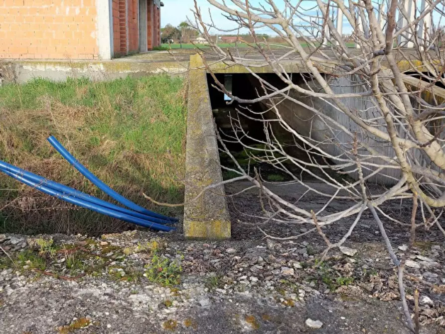 Immagine 5 di Terreno in vendita  in Via Erbosa, N. snc a Forli'