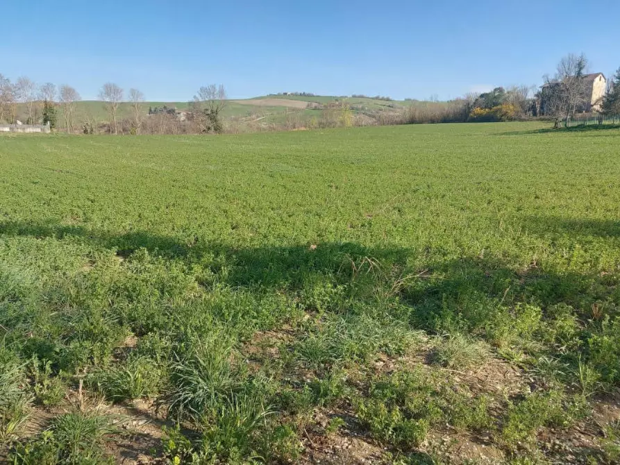 Immagine 2 di Terreno in vendita  in Strada Bora Falcino, N. snc a Mercato Saraceno