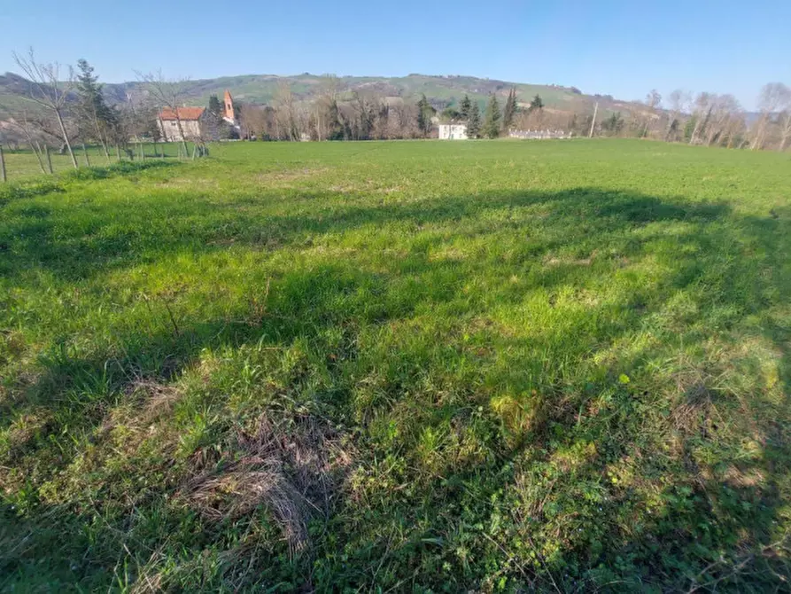 Immagine 4 di Terreno in vendita  in Strada Bora Falcino, N. snc a Mercato Saraceno
