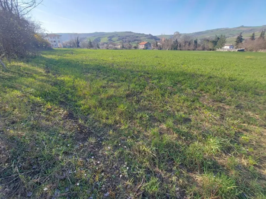 Immagine 5 di Terreno in vendita  in Strada Bora Falcino, N. snc a Mercato Saraceno