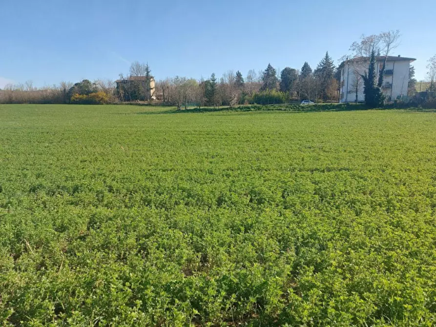 Immagine 6 di Terreno in vendita  in Strada Bora Falcino, N. snc a Mercato Saraceno