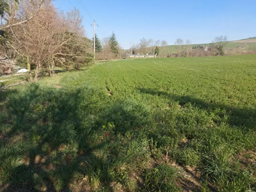 Immagine 7 di Terreno in vendita  in Strada Bora Falcino, N. snc a Mercato Saraceno