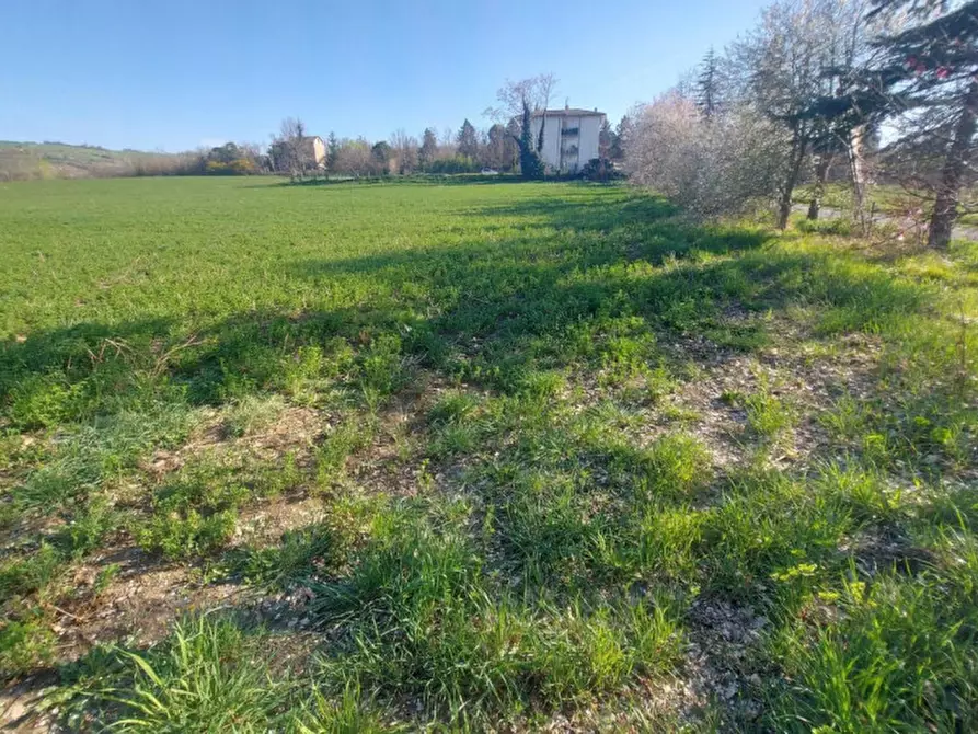 Immagine 8 di Terreno in vendita  in Strada Bora Falcino, N. snc a Mercato Saraceno