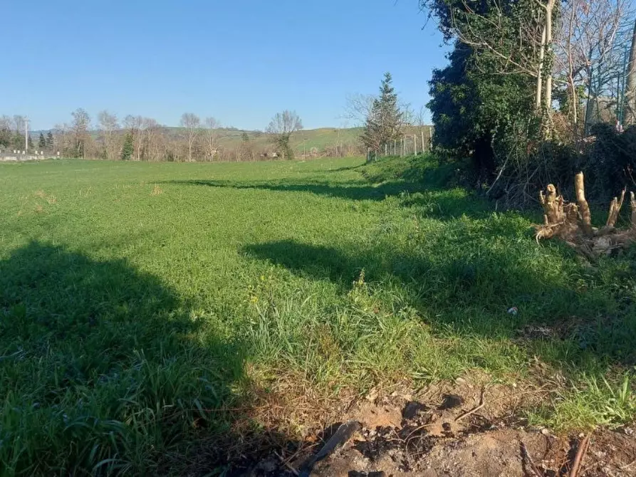 Immagine 10 di Terreno in vendita  in Strada Bora Falcino, N. snc a Mercato Saraceno