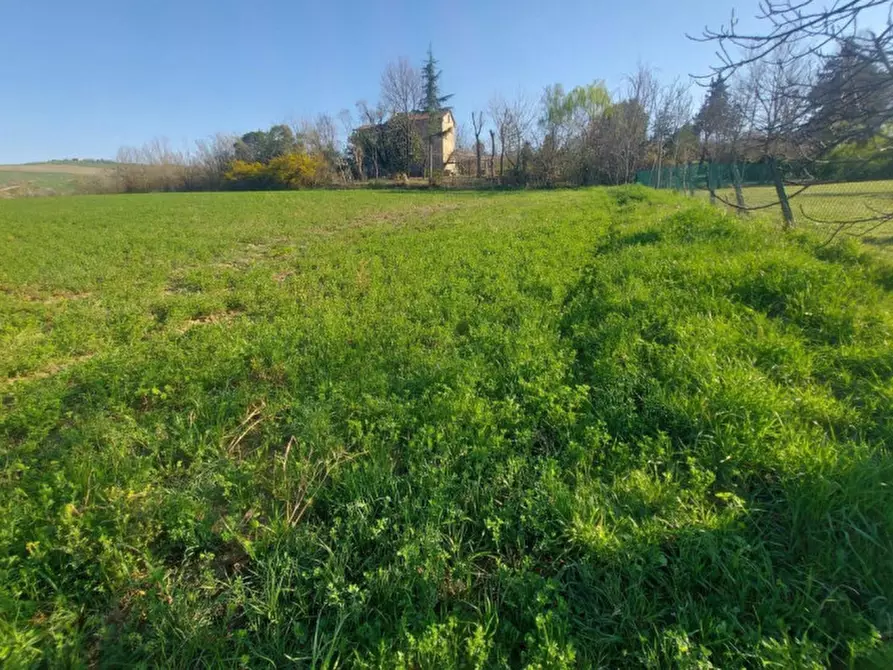 Immagine 11 di Terreno in vendita  in Strada Bora Falcino, N. snc a Mercato Saraceno