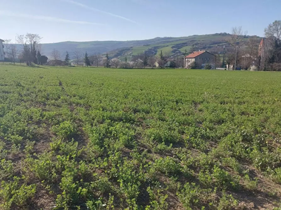 Immagine 12 di Terreno in vendita  in Strada Bora Falcino, N. snc a Mercato Saraceno