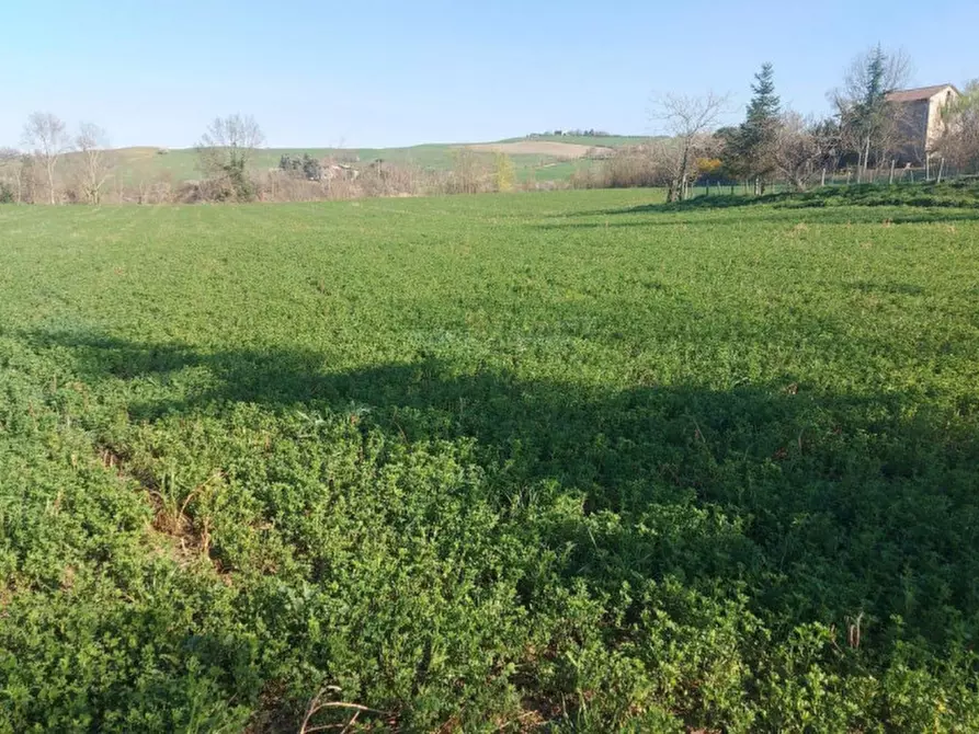 Immagine 13 di Terreno in vendita  in Strada Bora Falcino, N. snc a Mercato Saraceno