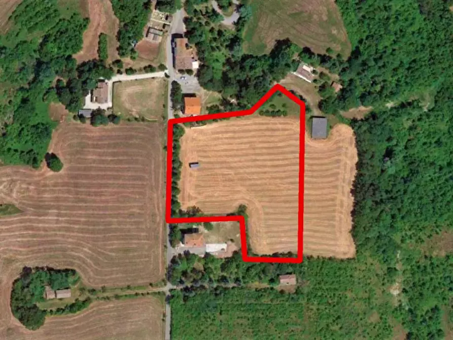 Immagine 18 di Terreno in vendita  in Strada Bora Falcino, N. snc a Mercato Saraceno