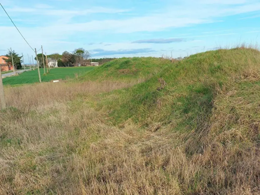 Immagine 2 di Terreno in vendita  in Via Erbosa, N. snc a Forli'