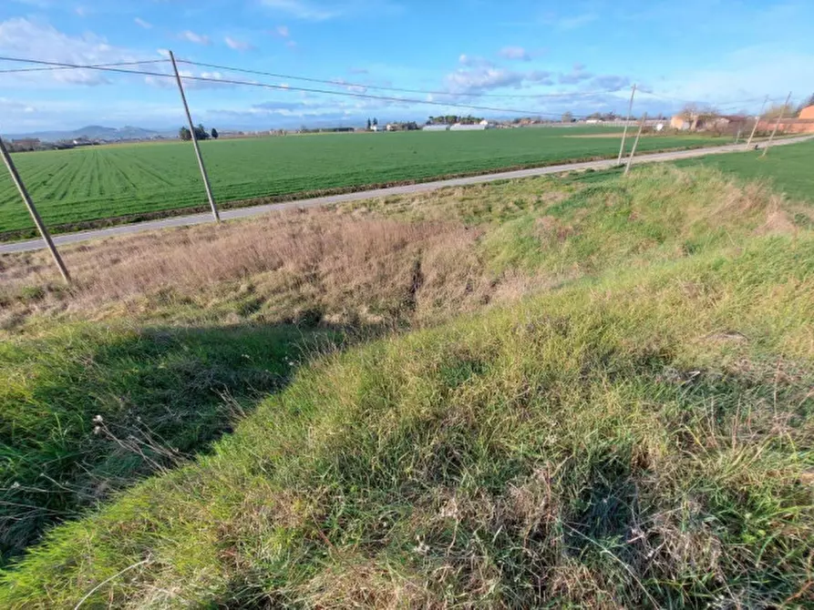 Immagine 5 di Terreno in vendita  in Via Erbosa, N. snc a Forli'