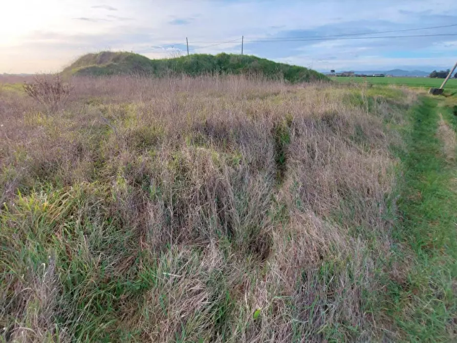 Immagine 7 di Terreno in vendita  in Via Erbosa, N. snc a Forli'