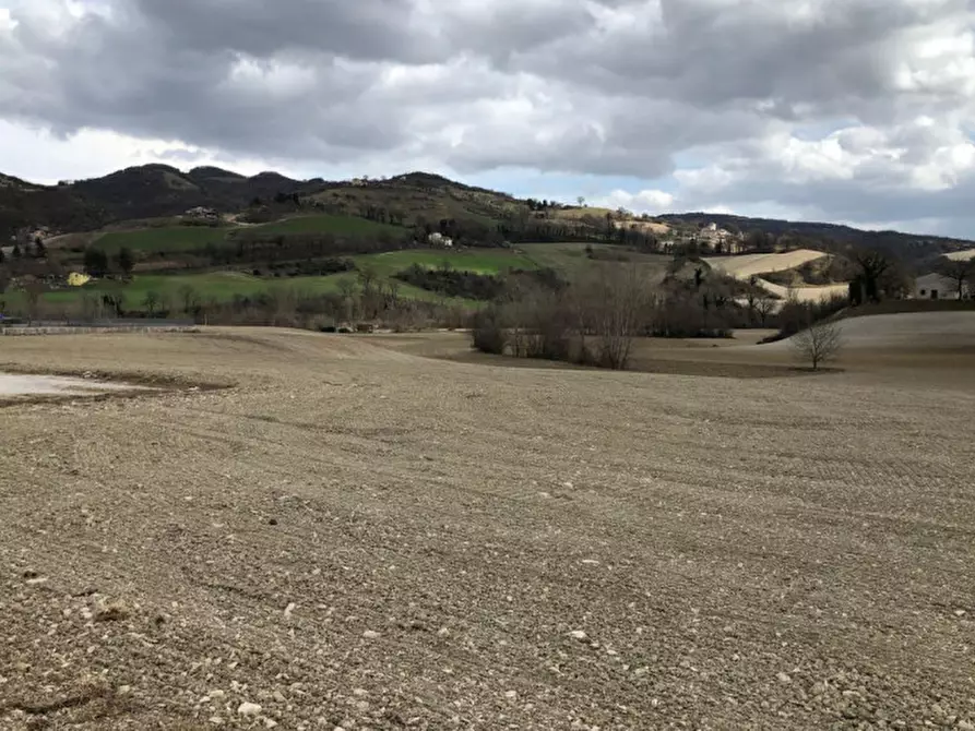 Immagine 10 di Terreno in vendita  in Località Smirra, SP 3 - Via Flaminia Nord, N. snc a Cagli
