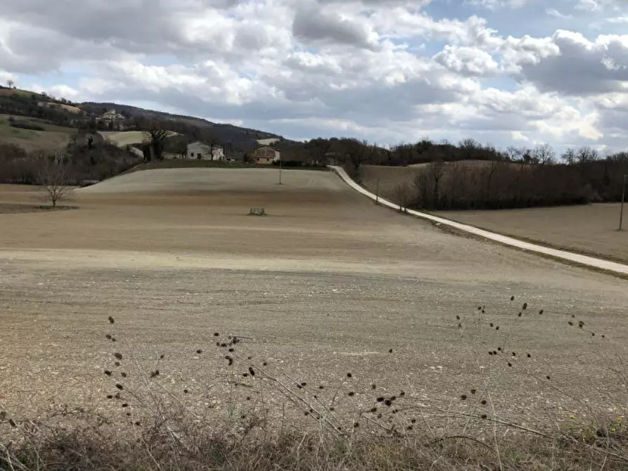 Immagine 12 di Terreno in vendita  in Località Smirra, SP 3 - Via Flaminia Nord, N. snc a Cagli