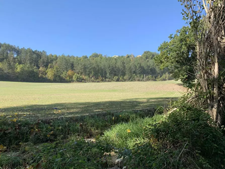 Immagine 3 di Terreno in vendita  in loc. Candiracci, SP 3 - Via Flaminia Nord, N. snc a Cagli