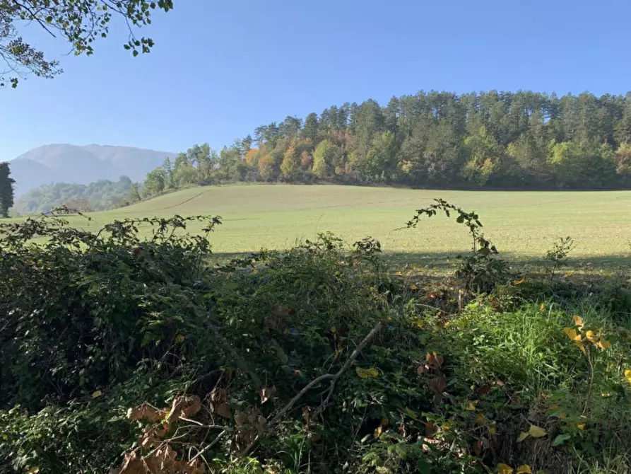 Immagine 4 di Terreno in vendita  in loc. Candiracci, SP 3 - Via Flaminia Nord, N. snc a Cagli