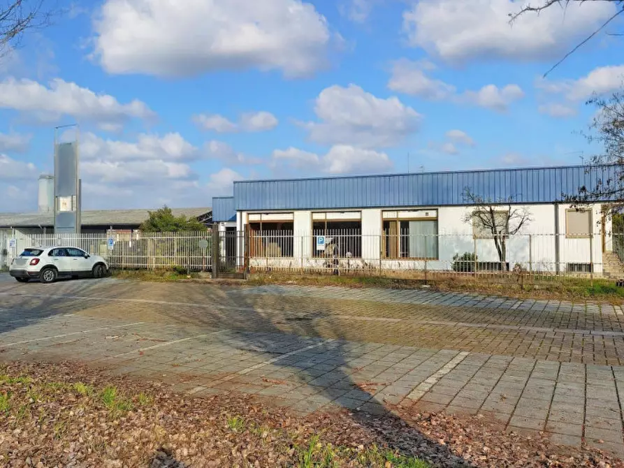 Immagine 2 di Capannone industriale in vendita  in Via Cremona, N. 11/13 a Pizzighettone