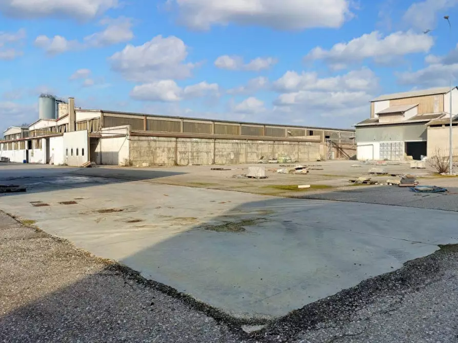 Immagine 4 di Capannone industriale in vendita  in Via Cremona, N. 11/13 a Pizzighettone