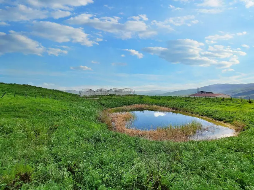 Immagine 3 di Terreno in vendita  in Contrada Feotto, N. snc a Mezzojuso