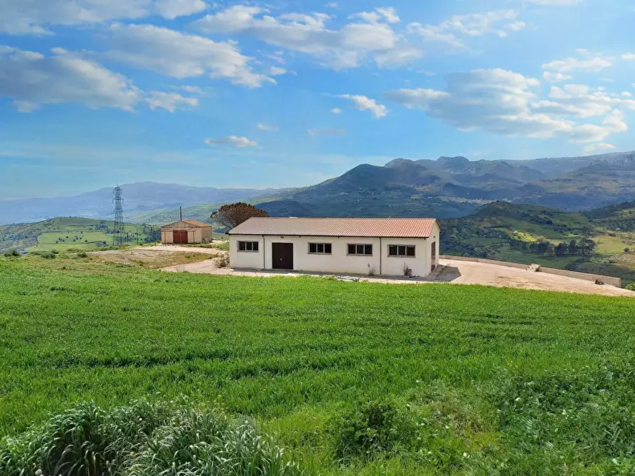 Immagine 4 di Terreno in vendita  in Contrada Feotto, N. snc a Mezzojuso