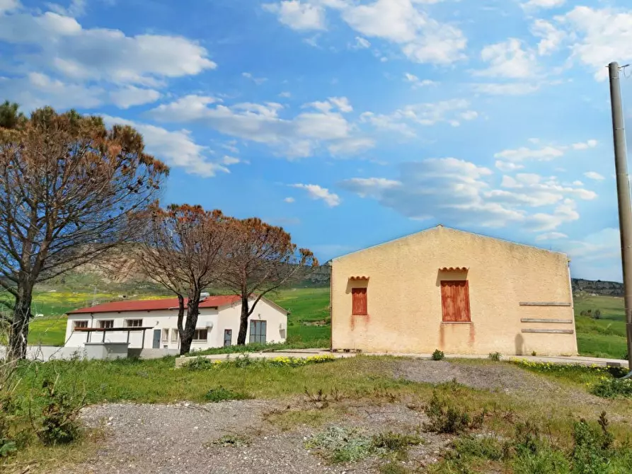 Immagine 5 di Terreno in vendita  in Contrada Feotto, N. snc a Mezzojuso