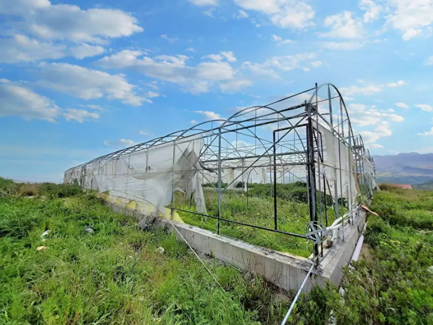 Immagine 6 di Terreno in vendita  in Contrada Feotto, N. snc a Mezzojuso