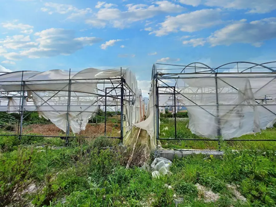 Immagine 7 di Terreno in vendita  in Contrada Feotto, N. snc a Mezzojuso