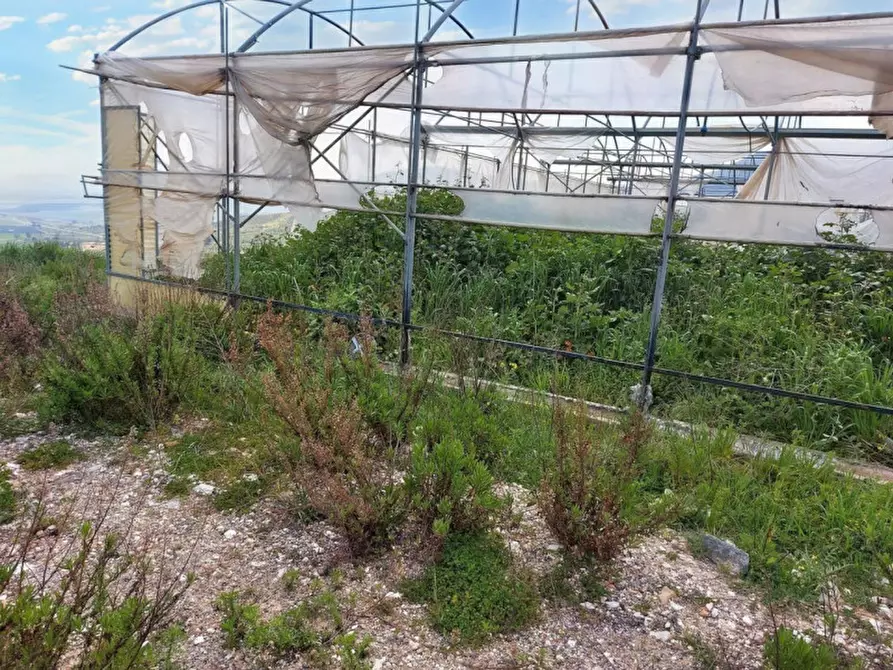 Immagine 8 di Terreno in vendita  in Contrada Feotto, N. snc a Mezzojuso