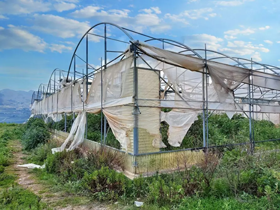 Immagine 9 di Terreno in vendita  in Contrada Feotto, N. snc a Mezzojuso