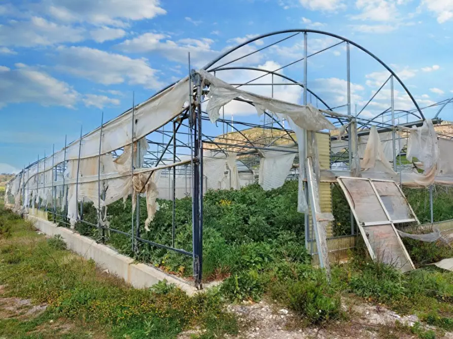 Immagine 10 di Terreno in vendita  in Contrada Feotto, N. snc a Mezzojuso