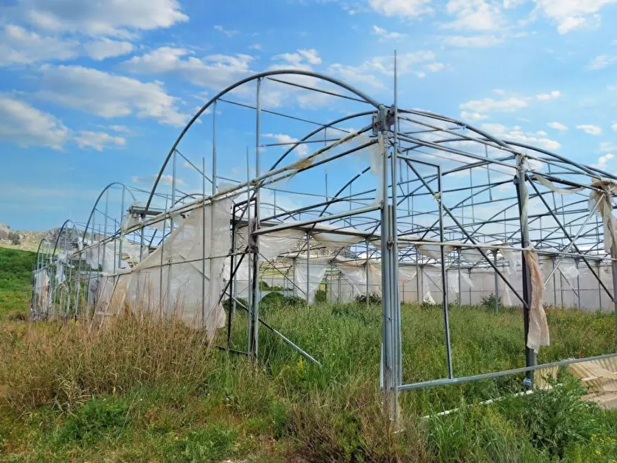 Immagine 11 di Terreno in vendita  in Contrada Feotto, N. snc a Mezzojuso