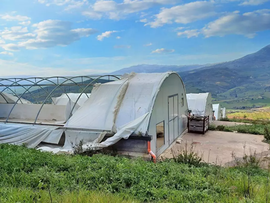 Immagine 12 di Terreno in vendita  in Contrada Feotto, N. snc a Mezzojuso
