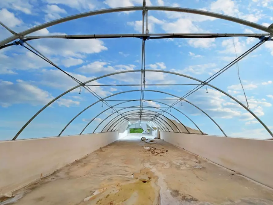 Immagine 13 di Terreno in vendita  in Contrada Feotto, N. snc a Mezzojuso