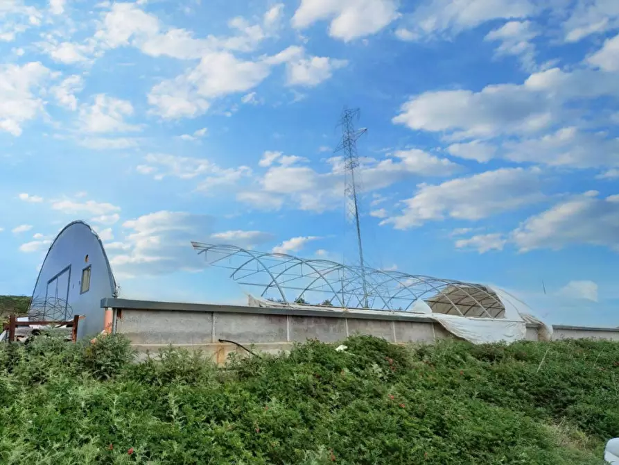Immagine 14 di Terreno in vendita  in Contrada Feotto, N. snc a Mezzojuso