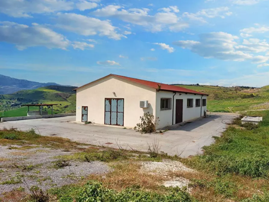 Immagine 15 di Terreno in vendita  in Contrada Feotto, N. snc a Mezzojuso