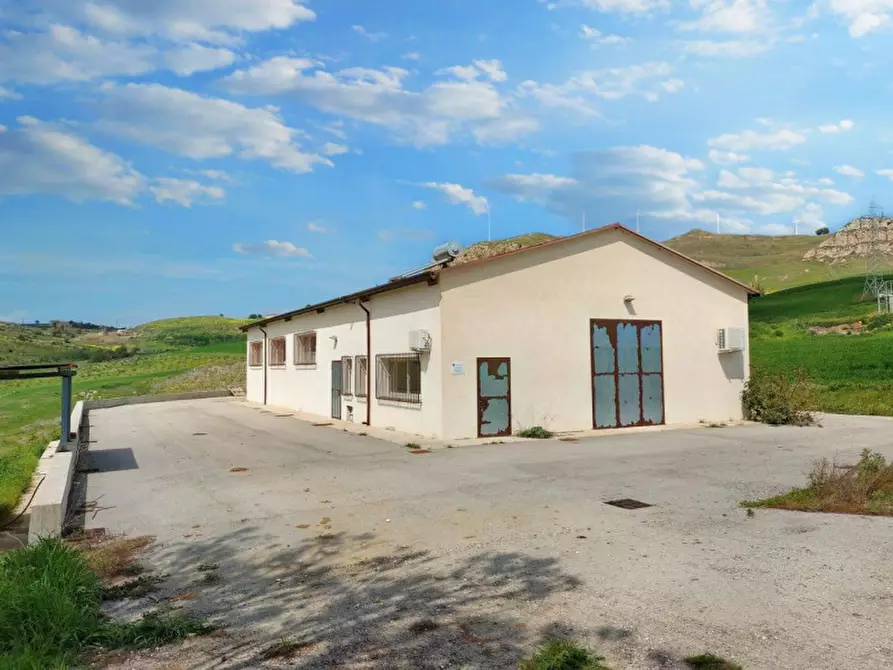 Immagine 16 di Terreno in vendita  in Contrada Feotto, N. snc a Mezzojuso