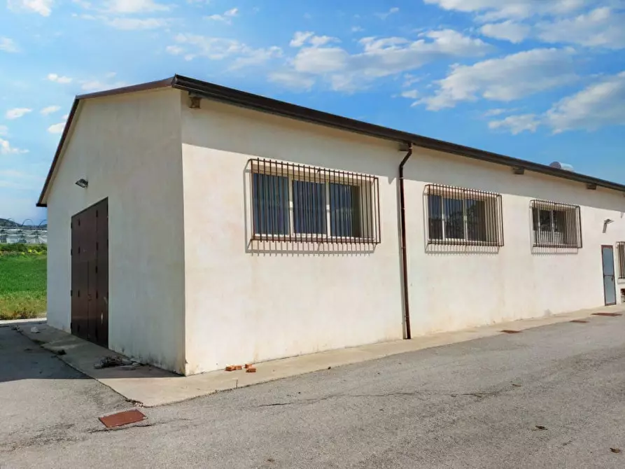 Immagine 17 di Terreno in vendita  in Contrada Feotto, N. snc a Mezzojuso