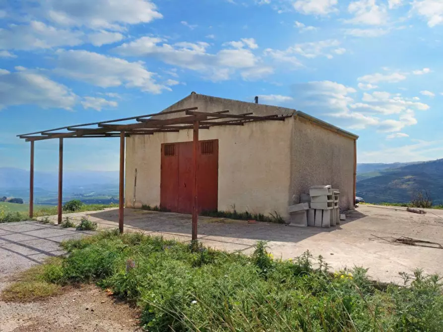 Immagine 19 di Terreno in vendita  in Contrada Feotto, N. snc a Mezzojuso
